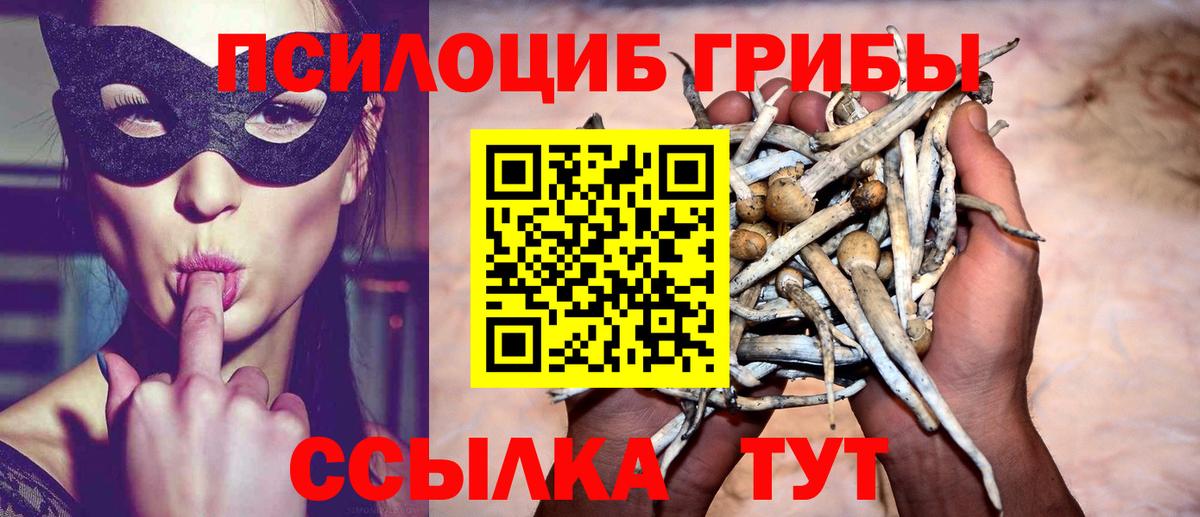 Галлюциногенные грибы Magic Shrooms  Вход с VPN  Ишим  Галлюциногенные грибы GOLDEN TEACHER 